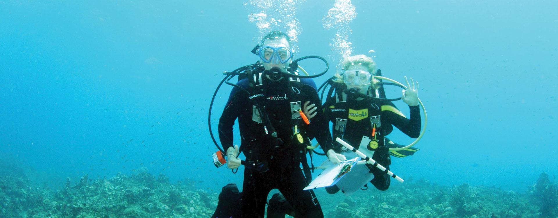 WLC students scuba diving near coral reef